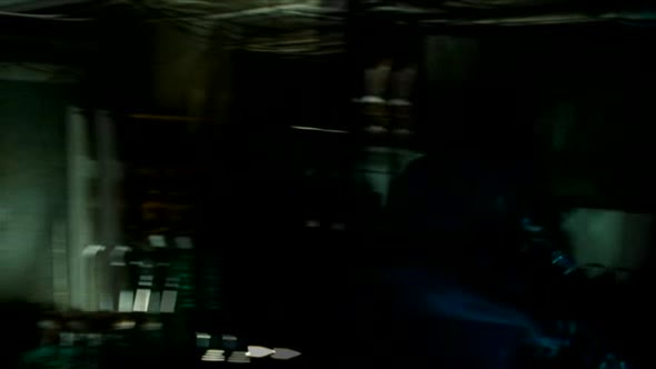 Náhled Nejlepsi.z.Brooklynu.2009.DVDRip.XviD.CZ.avi (6)