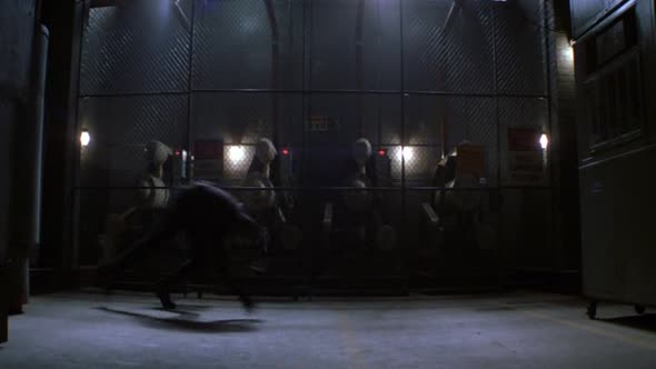 Náhled Afera.Thomase.Crowna.1999.DVDRip.XviD.CZ.avi (1)