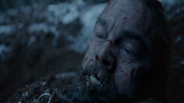 Náhled ZMRTVÝCHVSTÁNÍ / THE REVENANT 2015 CZ DABING BLURAY.mkv (4)