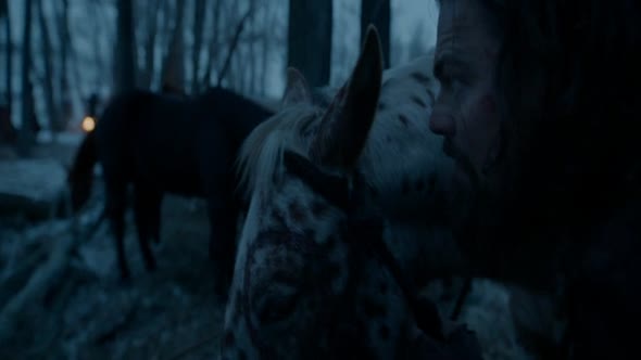 Náhled ZMRTVÝCHVSTÁNÍ / THE REVENANT 2015 CZ DABING BLURAY.mkv (8)