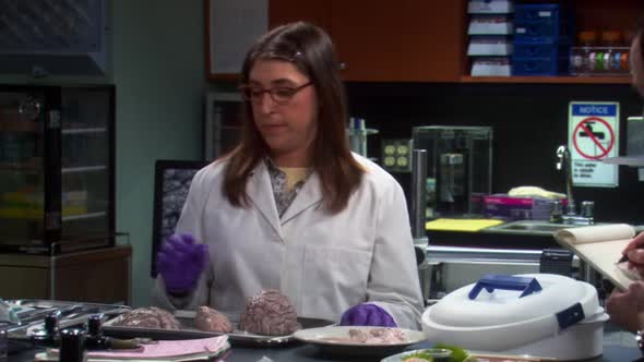 Náhled Teorie velkého třesku.S04E10.Hypotéza o cizím parazitovi.avi (4)