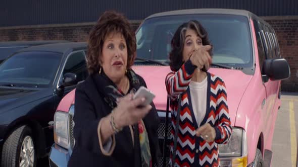 Náhled Moje tlustá řecká svatba 2 (My Big Fat Greek Wedding 2) cz dabing, komedie.avi (6)
