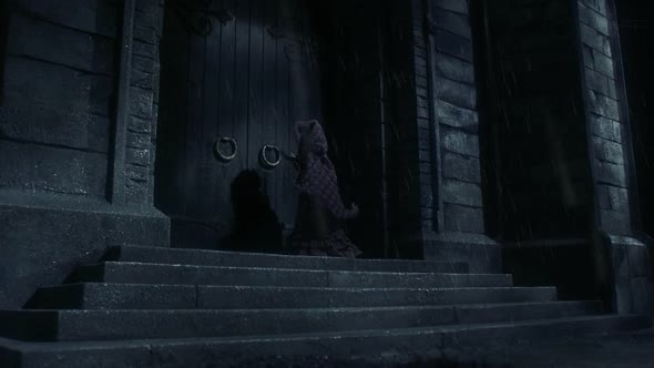 Náhled Mrtvá nevěsta Tima Burtona.avi (7)