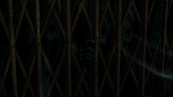 Náhled HP7.2010.BRRip.720p.Bluray.YIFY.mkv (5)