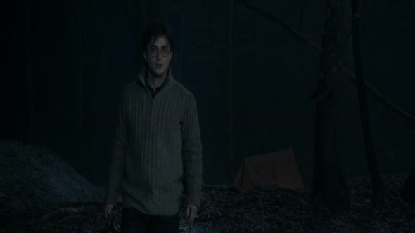 Náhled HP7.2010.BRRip.720p.Bluray.YIFY.mkv (8)