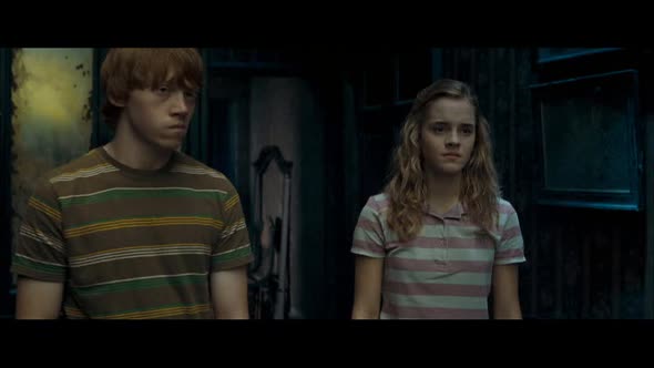 Náhled Harry Potter 5: Fénixov rád.avi (1)