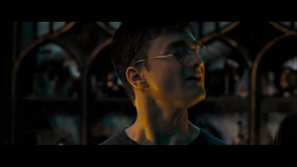 Náhled Harry Potter 5: Fénixov rád.avi (6)