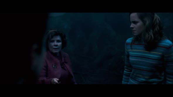 Náhled Harry Potter 5: Fénixov rád.avi (9)