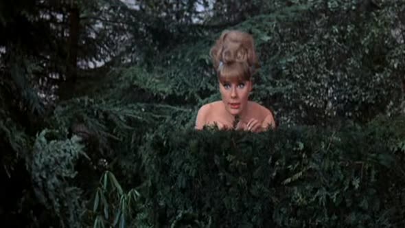 Náhled Komisař Clouseau na stopě (Komisař Clouseau na stopě aneb Výstřel v temnotě) (1964) (CZ) (Komedie, Mysteriózní, Krimi).avi (7)