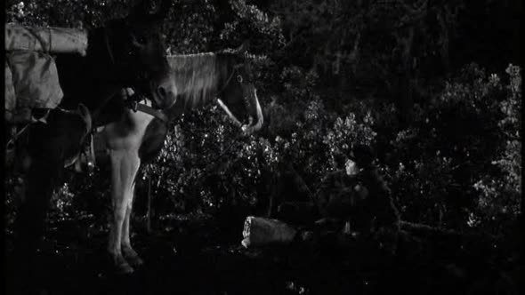 Náhled Dead man 1995 DVDRip czsub.avi (8)