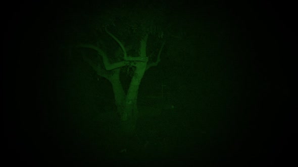 Náhled Paranormal.Activity.The.Ghost Dimension.2015.BRRip.XviD.AC3.CZ.avi (3)