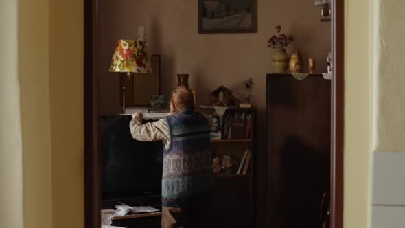Náhled Kobry a užovky.avi (5)