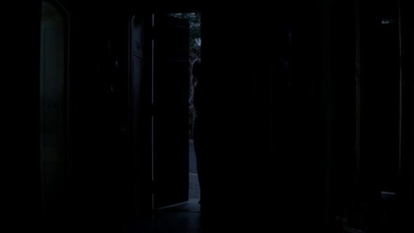 Náhled The Neon Demon_2016_hc.titulky.CZ.avi (8)