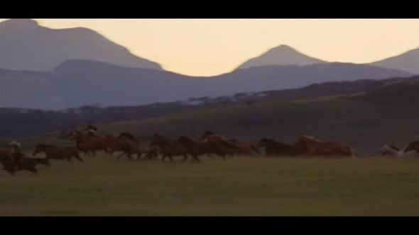 Náhled Podtrh 2001 DVDRip czdub.avi (4)