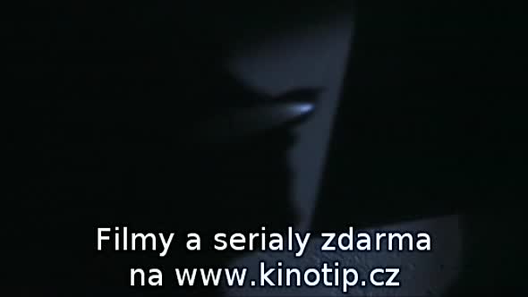Náhled Rudy labyrint 1997.avi (3)