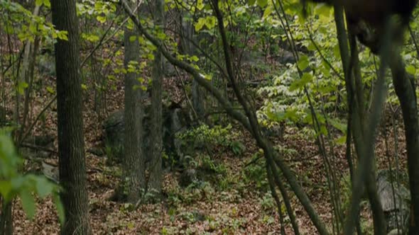 Náhled Vem-si-mou-dusi-thriller-horor-cz-2011.avi (6)