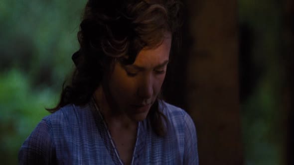 Náhled Far.from.the.Madding.Crowd.2015.BRRip.XviD.AC3.CZ.avi (6)