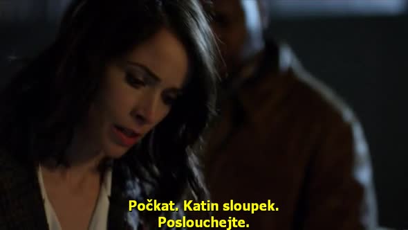 Náhled Timeless.S01E01.CZ titulky.HDTV.avi (7)
