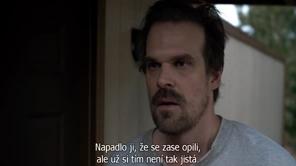 Náhled Stranger_Things_S01E05.720p.HDTV.CZ.Titulky.avi (5)