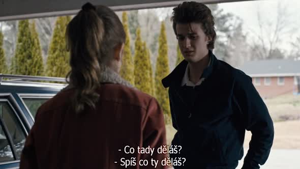 Náhled Stranger_Things_S01E05.720p.HDTV.CZ.Titulky.avi (6)