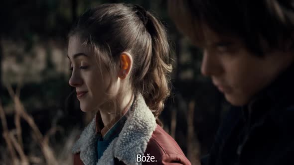 Náhled Stranger_Things_S01E05.720p.HDTV.CZ.Titulky.avi (7)