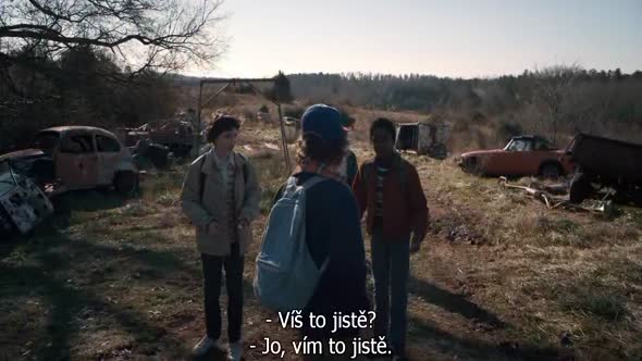 Náhled Stranger_Things_S01E05.720p.HDTV.CZ.Titulky.avi (9)