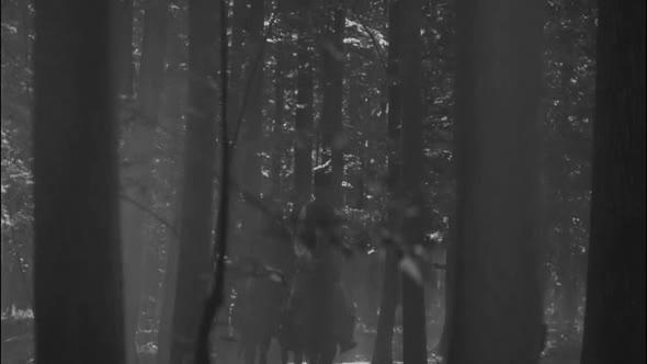 Náhled Aferim-2015-Cz-tit..avi (1)