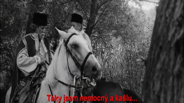 Náhled Aferim-2015-Cz-tit..avi (4)