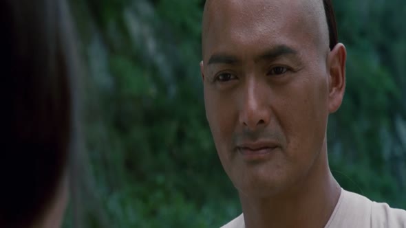 Náhled Tygr a Drak Crouching Tiger, Hidden Dragon 1080p x264 AC3 Cz dab 2000.mkv (10)