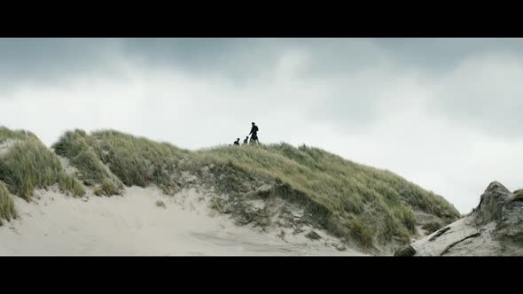 Náhled Under sandet. (Land of Mine).2015.CZ titulky.BRRip.720p.avi (2)