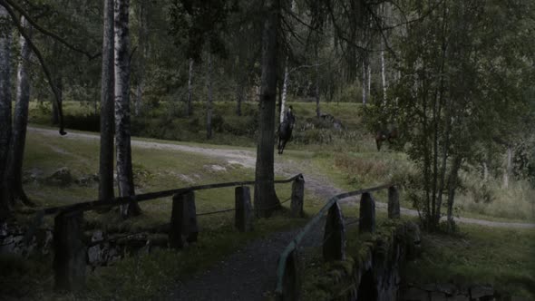 Náhled Melancholia-1080p-x264-AC3-Cz-dab-2011.mkv (6)