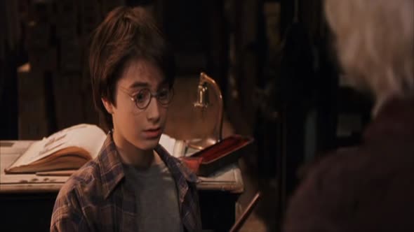 Náhled harry-potter-a-kamen-mudrcu-2001-czdabing.avi (2)