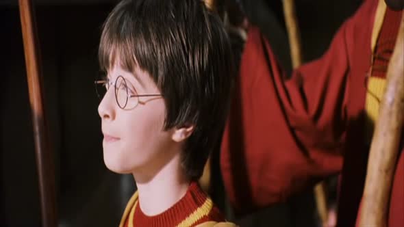 Náhled harry-potter-a-kamen-mudrcu-2001-czdabing.avi (6)