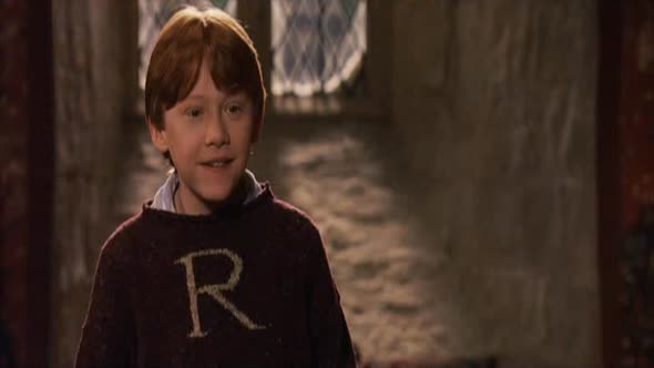 Náhled harry-potter-a-kamen-mudrcu-2001-czdabing.avi (7)