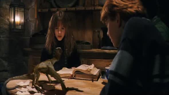 Náhled harry-potter-a-kamen-mudrcu-2001-czdabing.avi (8)