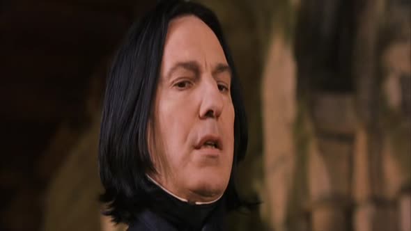 Náhled harry-potter-a-kamen-mudrcu-2001-czdabing.avi (9)