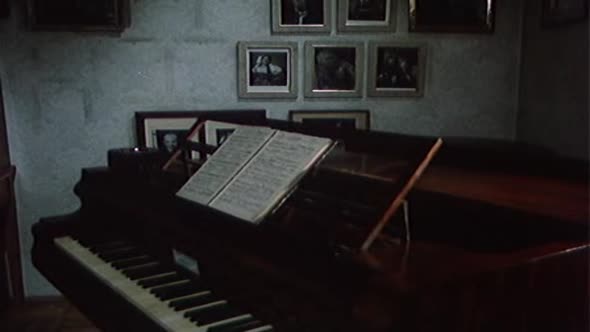 Náhled Kulový blesk.cz film avi (8)