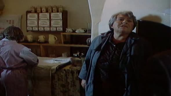 Náhled Kulový blesk.cz film avi (9)