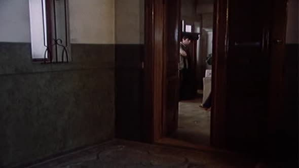 Náhled Kulový blesk.cz film avi (10)