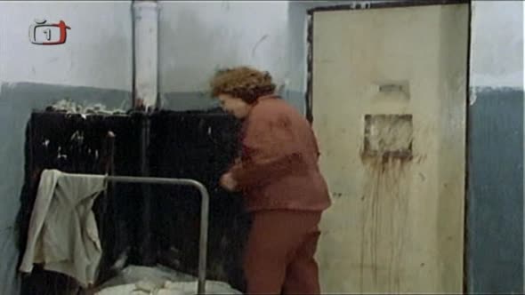 Náhled Přítelkyně z domu smutku -1.Dil - Dum smutku.cz.dab.1992, 4x70 min.drama.avi (10)
