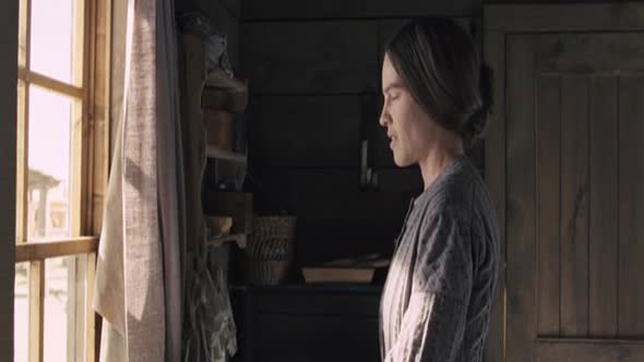 Náhled Síla života (The Homesman - 2014) cz dabing, drama, western.avi (1)