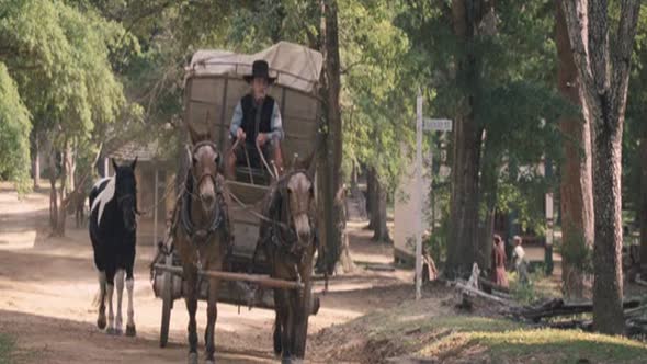 Náhled Síla života (The Homesman - 2014) cz dabing, drama, western.avi (10)