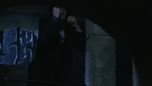 Náhled Mortal Instruments Město z kostí (2013) CZ dabing.avi (9)