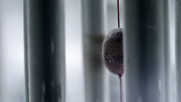 Náhled Extinction.2015.WEBRip.XviD.CZ-HiDE.avi (1)
