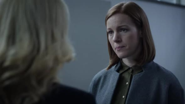 Náhled The.Fall.S03E02.HDTV.XviD-AFG.avi (2)