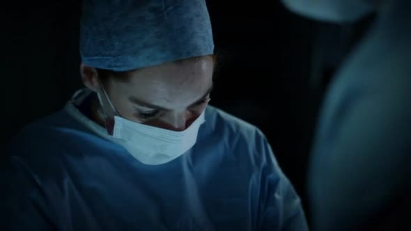 Náhled The.Fall.S03E02.HDTV.XviD-AFG.avi (4)