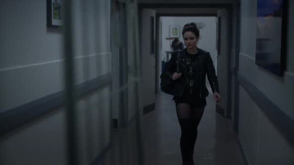 Náhled The.Fall.S03E02.HDTV.XviD-AFG.avi (6)