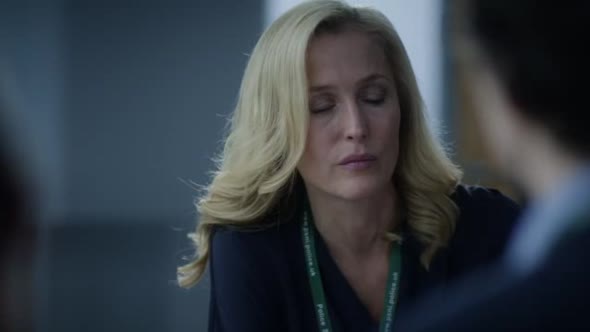 Náhled The.Fall.S03E02.HDTV.XviD-AFG.avi (7)