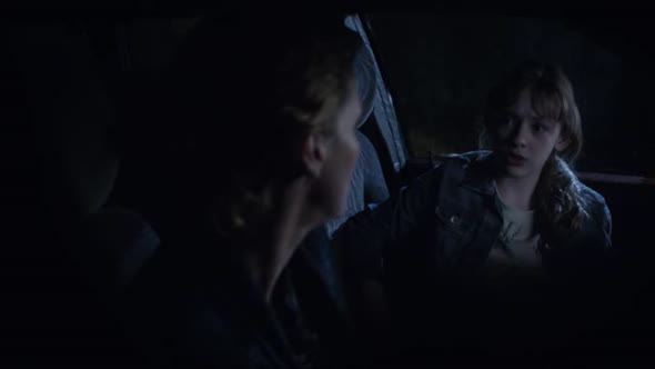 Náhled The.Fall.S03E02.HDTV.XviD-AFG.avi (10)