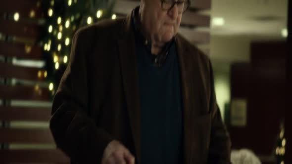 Náhled Trable o Vanocich (2015) Novinka CZ dabing Komedie Drama.mkv (10)